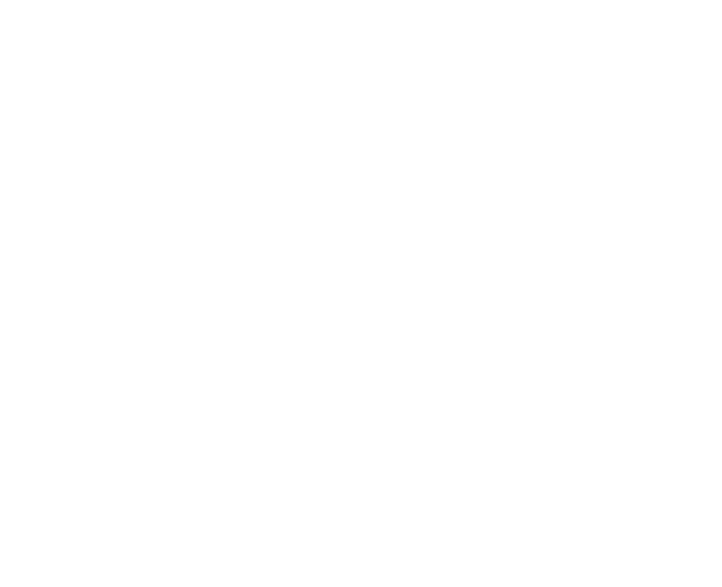 Oan logo
